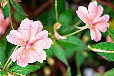 《真三国无双：起源》6分钟游戏特色导览宣传片